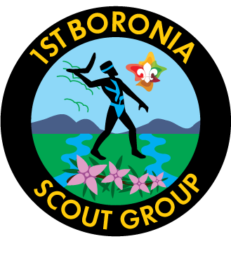 1st Boronia Badge