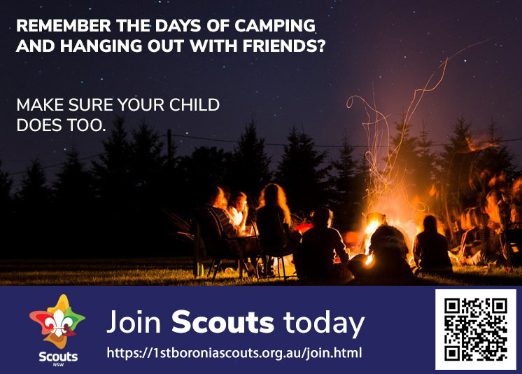 Scouts around a campfire